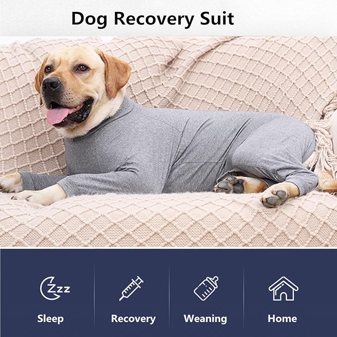 Dog Recovery Suit, Abdominal Wound After Surgery Wear, Prevent Licking Wounds, E-Collar & Cone Alternatives, Long Sleeve Postoperative Shirts Dog Bodysuit Prevent Shedding(3XL, Grey)