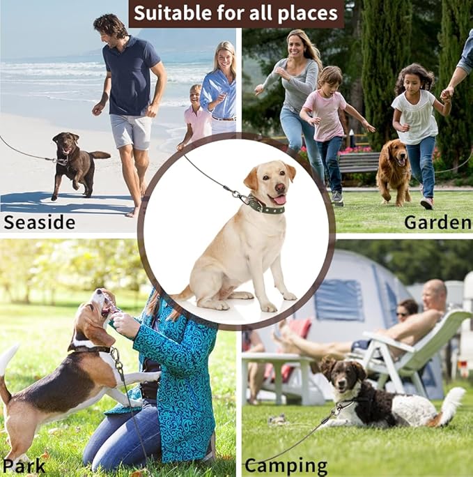 Dog tie Out Cable, 10/20/25/30/50/70/100 feet, Suitable for Dogs up to 350 pounds, Dog Cable with Swivel Buckle, Lightweight, Non-Winding, for Outdoor Camping, Yard Dog Cable (Black, 70FT)