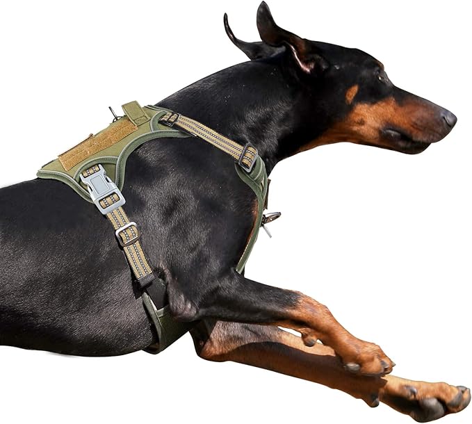 BUMBIN Tactical Dog Harness for Large Dogs, No Pull, Reflective, Green, L(Neck:19-25", Chest:21-35")