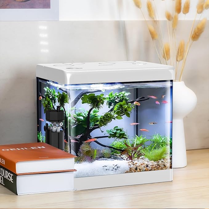 5 Gallon Glass Small Fish Tank,Betta Fish Tank with Filter and Light,White Aquarium Starter Kit.