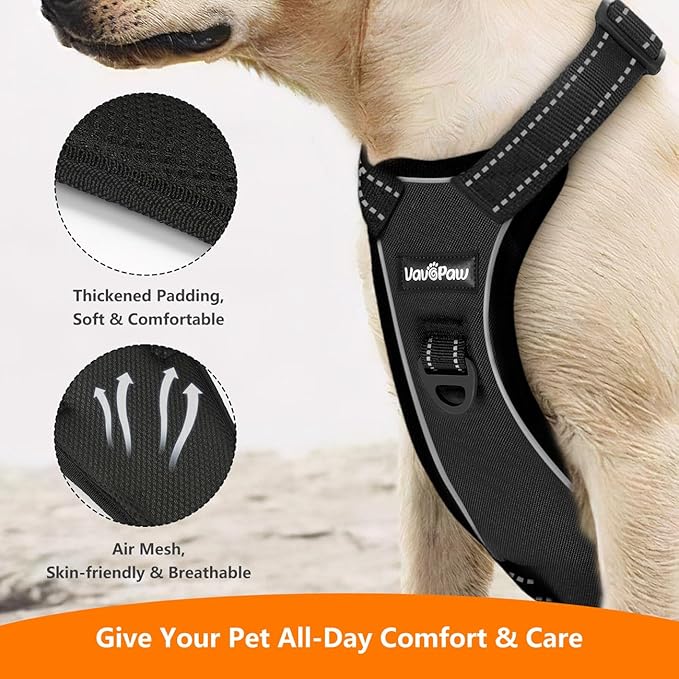 Dog Seat Belt Harness for Car, Dog Car Harness Adjustable Mesh Breathable & Dogs Seatbelt Safety Tether with Elastic Bungee for Small Medium Large Pets(Carbon Black, S)