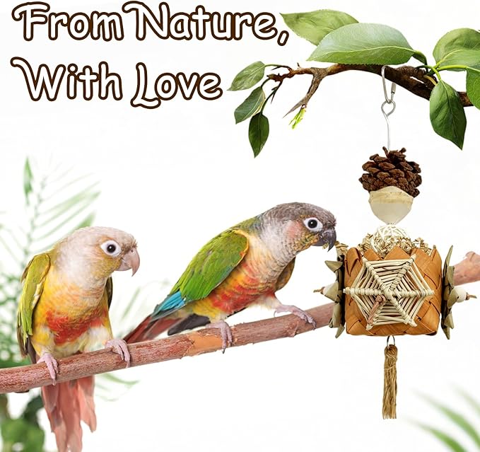 5-Pack Natural Hanging Basket Bird Toys – Foraging & Chewing Toys for Parakeets, Cockatiels, Conures & Small Birds – No Plastic, All-Natural Materials
