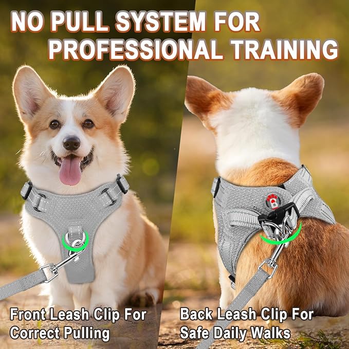 BARKBAY Dog Harness, Reflective Adjustable No Pull Harness, Breathable Soft, Grey, XXS
