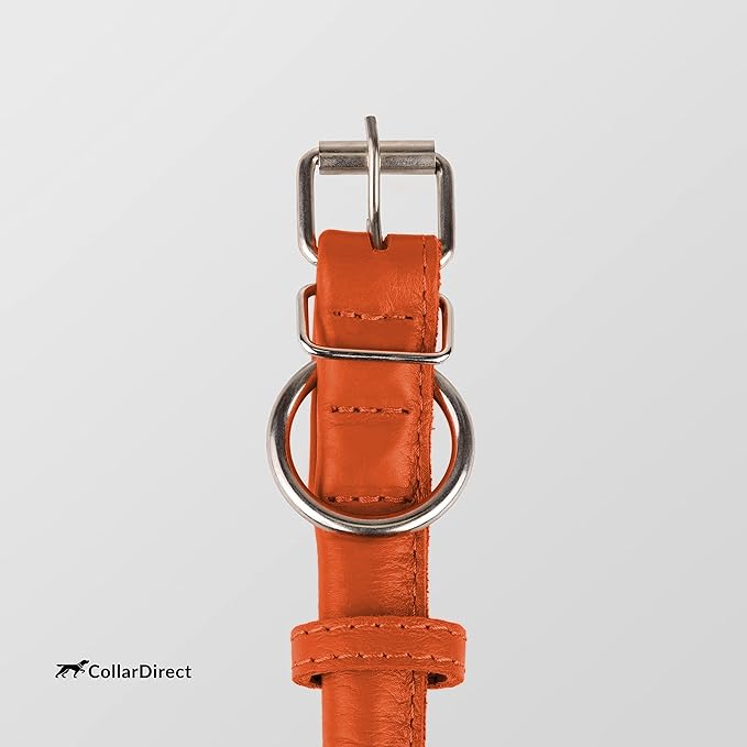 CollarDirect Rolled Leather Dog Collar, Soft Padded Round Puppy Collar, Handmade Genuine Leather Collar Dog Small Large Cat Collars 13 Colors (11-14 Inch, Orange Textured)