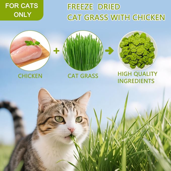 Cat Grass for Indoor Cat, 4.5 oz Cat Grass Teething Sticks, Natural Cat Dental Care Treat, Edible Snack for Teeth Cleaning and Hairball Removal