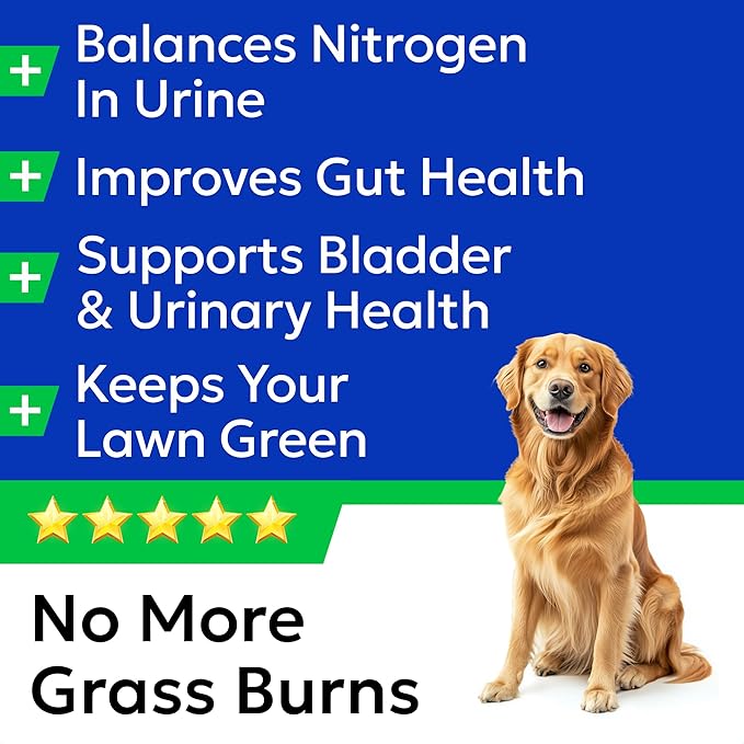 BARK&SPARK Green Grass Chews - Pee Grass Spot Saver Caused by Dog Urine - Urine Neutralizer for Lawn, Gut Health Probiotics & Digestive Enzymes,Lawn Burn from Dog Urine, Grass Burn Spot Chews (240Ct)