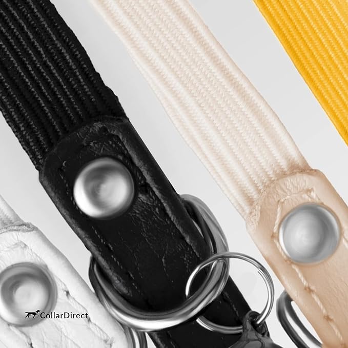 CollarDirect Leather Cat Collar, Cat Safety Collar with Elastic Strap, Kitten Collar for Cat with Bell Black Blue Red Orange Lime Green (Neck Fit 6"-7", Mint Green)