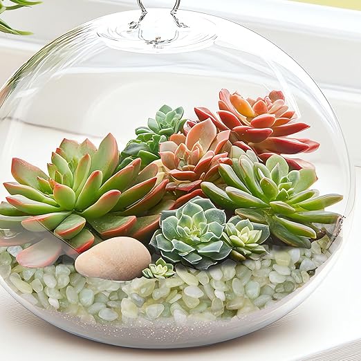 2.5 lbs Jade Pebbles for Indoor Plants, 1/5 Inch Succulent and Cactus Pebbles, Decorative Gravel for Vases, Bamboo,Terrarium, Crafts, Cactus