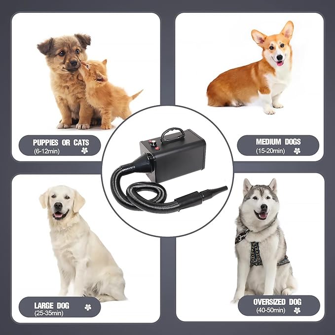 2400w 75m/s Dog Dryer for Pet Grooming, High Velocity Pet Hair Dryer with Heater, Adjustable Speed, 4 Nozzles and a Comb, Black
