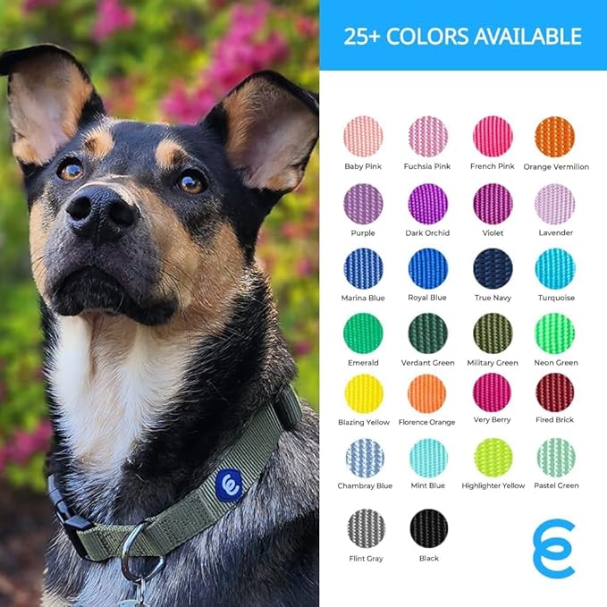 Blueberry Pet Essentials Medium Dog Collar in Fired Brick | Adjustable & Eco-Friendly Durable Nylon Strap | Classic Collar for Medium Dogs, Boy & Girl Pets