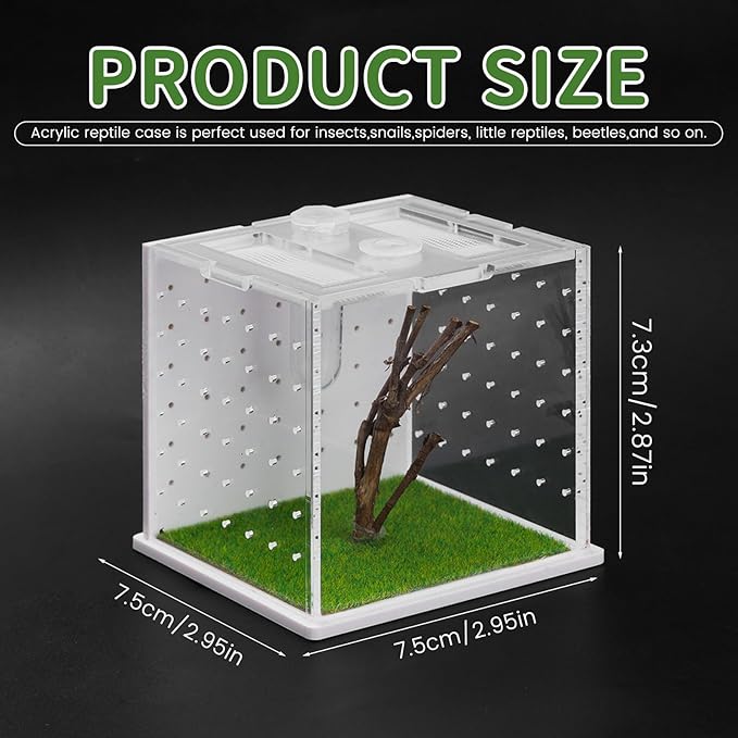 Acrylic Jumping Spider Enclosure, 2.95×2.95×2.87in Transparent Reptile Terrarium, Versatile Tarantula Enclosure for Small Reptiles/Insects, Small Reptile Tank with Dropper, Jumping Spider Accessories