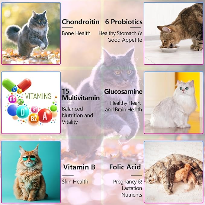 2PCS Liquid Multivitamin for Cat, 15 in 1 Cats Multivitamin Liquid Drops Supplements for Skin & Coat, Heart Health, Bones and Joint, Cat Vitamins with Glucosamine and MSM, Immune System Support