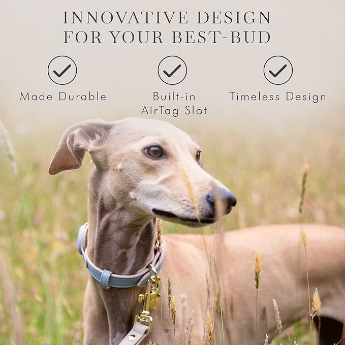 Cupertino Dog Collars, Harnesses & Leashes Made from Vegan Leather with Dog Tracker Device Holder Adjustable Dog Collar (Extra Small, Blue)