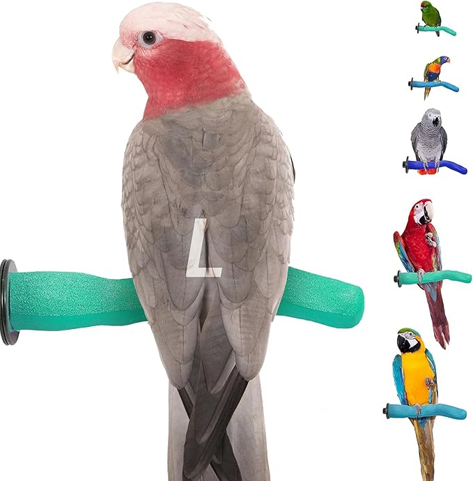 Brid Cage Safety Pumice Perch - Trims Nails and Beak - Promotes Healthy Nails and Beaks - Safe Non-Toxic Bird Supplies for Bird Cages - Large 12"