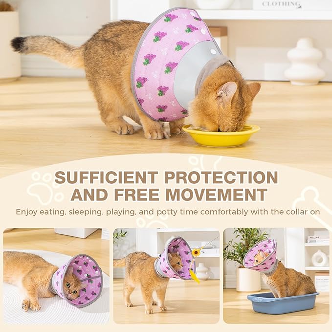 Avont Cat Cone Collar Soft to Stop Licking, Adjustable Foldable Lightweight Kitten Recovery Collar After Surgery for Small Dogs, Elizabeth Cone of Shame Alternative -Grape(M)