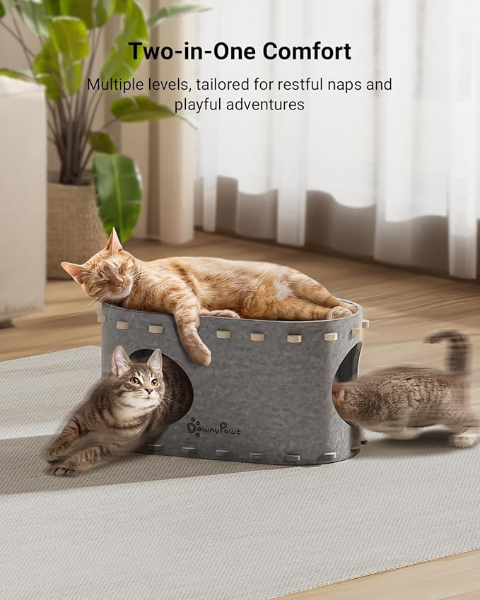 DownyPaws Cat House for Indoor Cats, Cat Bed Cave for Multiple & Large Cats Up to 22 Lbs, Scratch Resistant, Foldable Peekaboo Kitten Caves Tunnel Enclosed Bed, PeekaPurr, Light Gray
