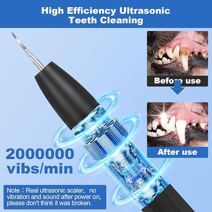 Dog Tooth Brushing Kit,Dogs Teeth Cleaning Kit with Light,3 Modes Doggie Plaque and Tartar Remover for Teeth,Low Noise Dog Teeth Cleaner and Dental Care, Black1