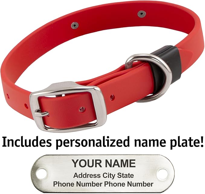 Biothane Custom Dog Collar – Waterproof, Stink-Proof Personalized Collar with Name & Phone Number – Durable, Many Sizes and Colors – Assembled in USA (Cherry Red)