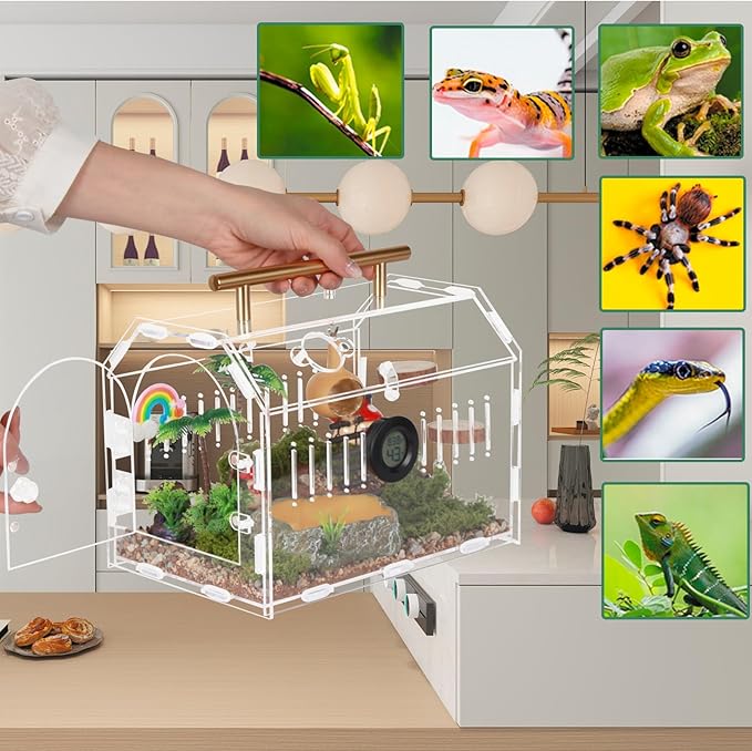 Acrylic Tarantula Enclosure – Escape-Proof Reptile Terrarium with Magnetic Lock, Front Opening for Easy Cleaning, Ideal for Jumping Spiders, Hermit Crabs & Small Pets