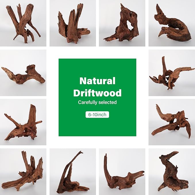 Driftwood for Aquarium Natural Aquarium Wood for Aquascaping Fish Tank Decorations Reptile Tank Decor (Natural Driftwood 6-10" (Pack of 3)+Protein Cotton)