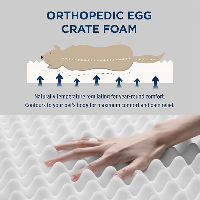 Bedsure Dog Bed Medium Size Dog - Orthopedic Flat Puppy Beds with Removable Washable Cover, Egg Crate Foam Pet Mat, Suitable for Pet Up to 35 lbs