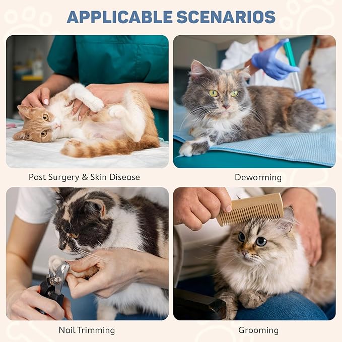 Avont Soft Cat Recovery Cone Collar, Adjustable Lightweight Kitten E-Collar for Small Dogs, Comfortable Neck Donut Stop Licking Scratching After Surgery -Grey(S)