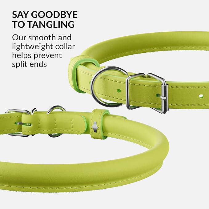 CollarDirect Rolled Leather Dog Collar, Soft Padded Round Puppy Collar, Handmade Genuine Leather Collar Dog Small Large Cat Collars 13 Colors (18-22 Inch, Lime Green Smooth)