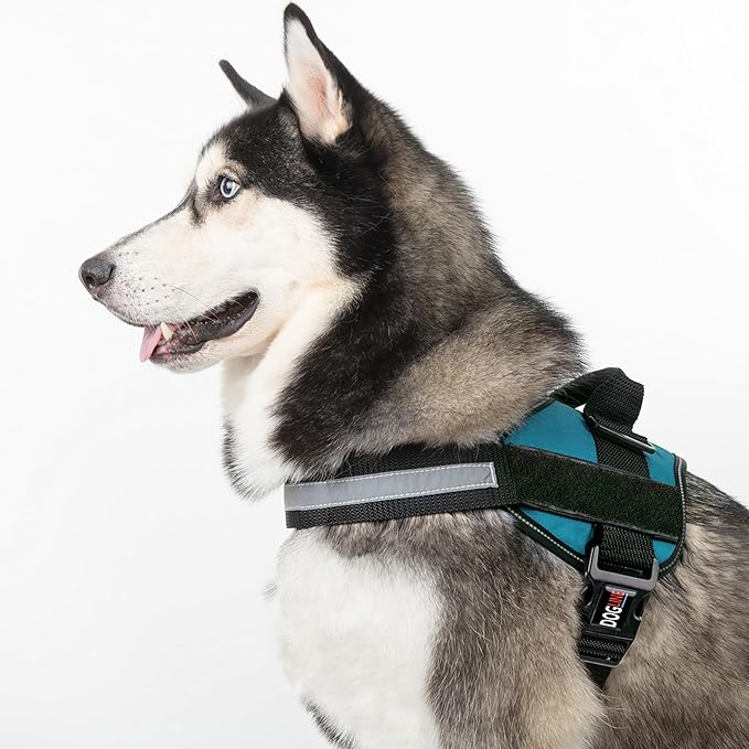 Dogline Dog Harness, Reflective No-Pull Adjustable Vest with Handle for Walking, Training, Breathable, No - Choke Harness for Small, Medium or Large Dogs Room for Patches Girth 15 to 18 in Turquoise