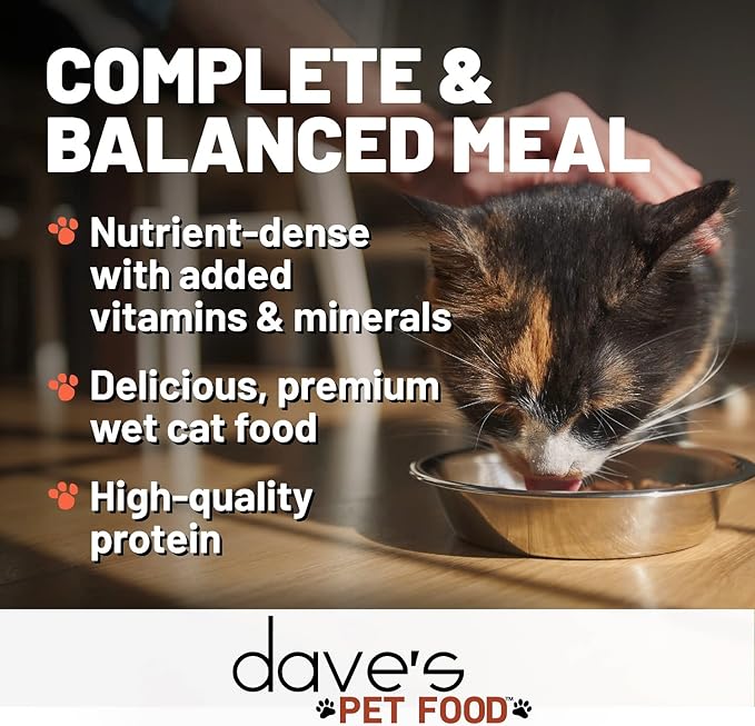 Dave's Pet Food Grain Free Wet Cat Food (Chicken & Duck Saucey Pate), Naturally Healthy Canned, Added Vitamins & Minerals, Wheat Free, 5.5 oz (24 Pack)