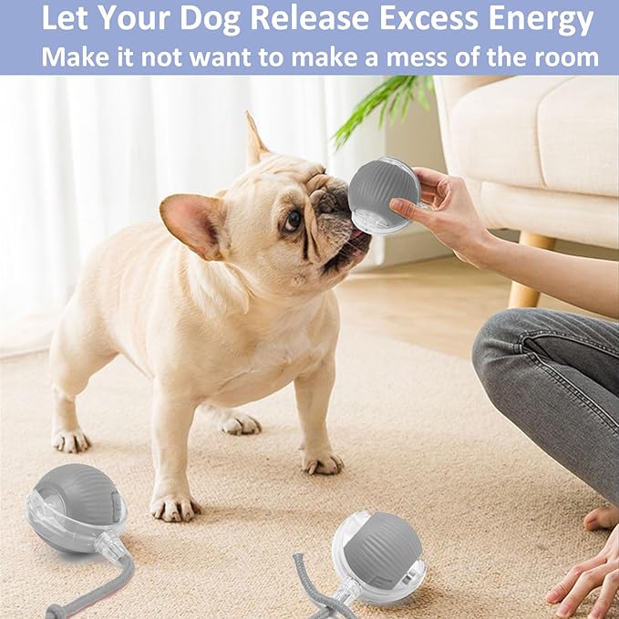 Chewie Viral Rolling Ball, Interactive Cat Toys Ball for Indoor, Cats Interactive Self Rolling Ball Dog Ball Automatic Cat Toy 360° Smart Automatic Rolling Pet Ball (Grey)