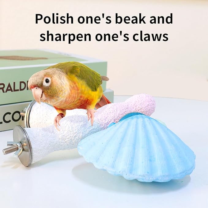 Bird Perches for Cage, Abrasive Surface High Calcium Mineral Parrot Perch Stand - Bird Nail File for Claw & Beak Health, Colorful Ceramic Bird Cage Accessories (Green, Shell)