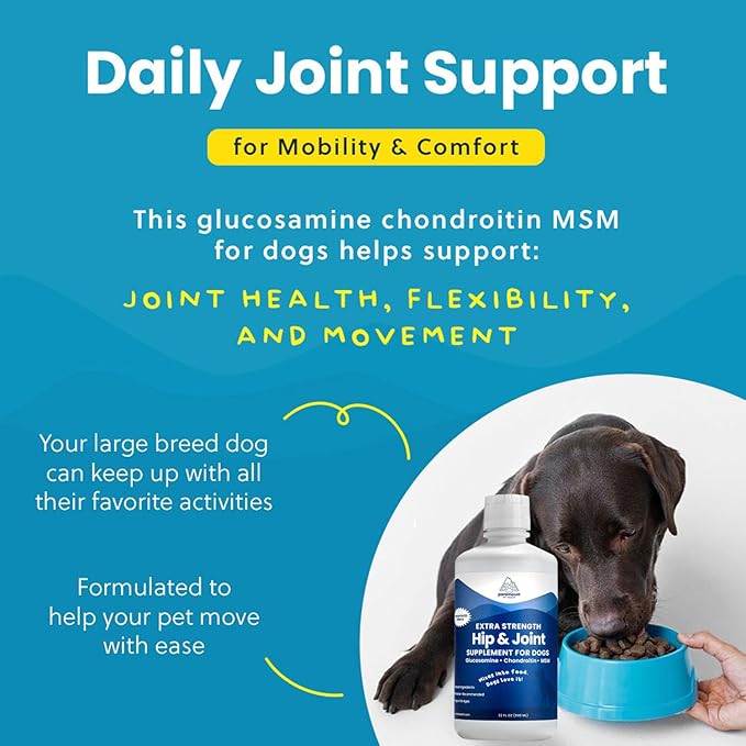 Concentrated Liquid Glucosamine for Large Dogs, Infused with MSM, 5200mg Chondroitin & Glucosamine Liquid for Dogs Hip & Joint Supplement for Mobility & Comfort, 32 oz