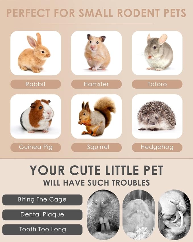 Bissap 12PCS Rabbit Chew Sticks, Hanging Chew Sticks & Cakes Timothy Hay Carrot Strawberry Treat for Bunny Chinchilla Guinea Pig Hamster and Other Small Pets Molar Snack Toy