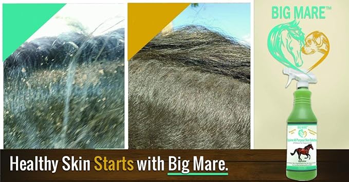 All Purpose Horse Skin & Wound Care 32oz | First Aid: for Girth Itch, Insect & Fly Bites, Crud, Itchy Manes & Tails & Hair Loss | Vet Approved & Recommended