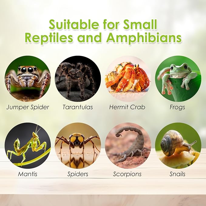 Acrylic Reptile Terrarium Enclosure 9.8" x 5.9" x 5.9" Magnetic Tarantula Breeding Box Transparent Insect Habitat for Jumping Spider Hermit Crab Lizard Sling Isopods Horned Frog Snake Gecko