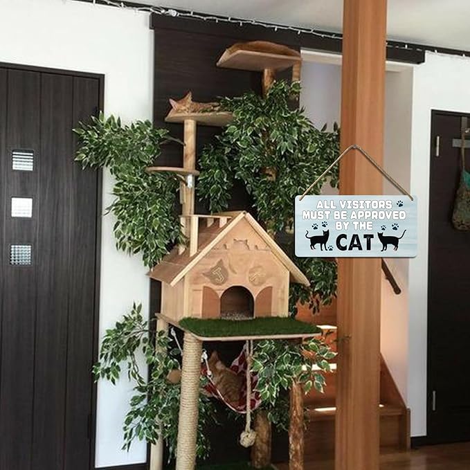 Black Cat Decor For Cat Lovers Cat Wooden Door Sign Cat Gifts For Cat Lovers Wood Cat Home Wall Decor All Visitors Must Be Approved By The Cat Signs Love Wall Decoration Cat Funny Cats Sign 12x6 In