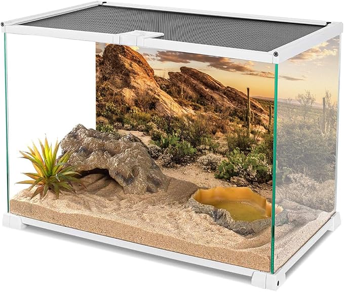 AWERT Reptile Habitat Background Blue Sky Oasis Cactus Sun and Desert Terrarium Background 36x24 inches Durable Polyester Background