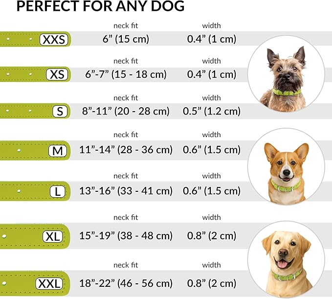 CollarDirect Rolled Leather Dog Collar, Soft Padded Round Puppy Collar, Handmade Genuine Leather Collar Dog Small Large Cat Collars 13 Colors (6 Inch, Lime Green Smooth)