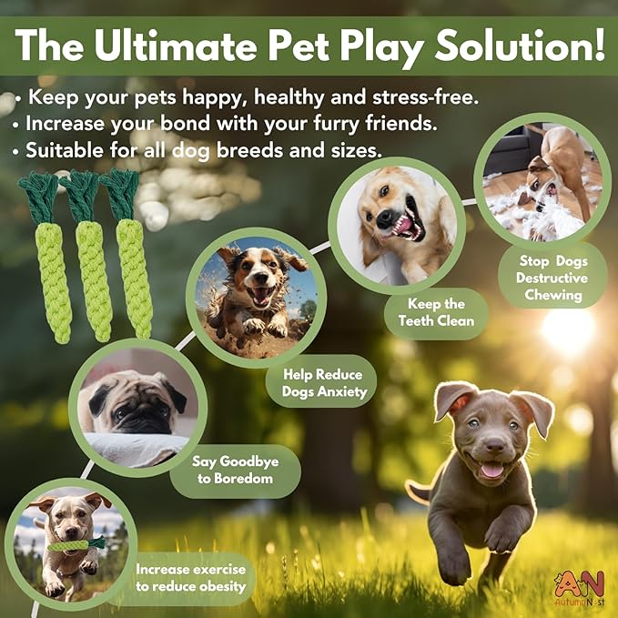 3PCS Green Woven Pet Chew Set, Dog Chew Accessories, Cat Interactive Chews, Safe & Durable Braided Chews for Dogs, Cats & More Pets