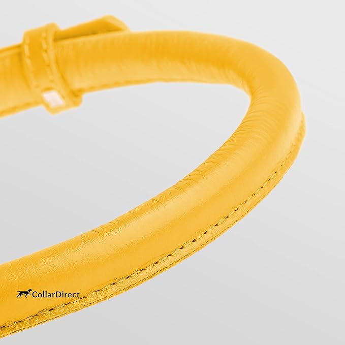 CollarDirect Rolled Leather Dog Collar, Soft Padded Round Puppy Collar, Handmade Genuine Leather Collar Dog Small Large Cat Collars 13 Colors (18-22 Inch, Yellow Textured)