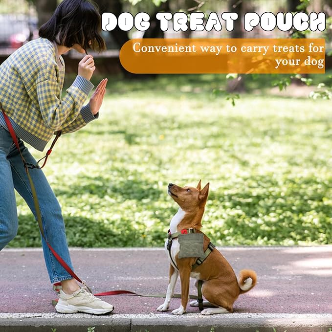 CONLI Dog Treat Pouch Portable Treat Pouches for Pet Training, Dog Training Treat Pouch with Carabiner, Auto Closing Pet Feed Snack Reward Pocket for Pet Travel or Outdoor Use