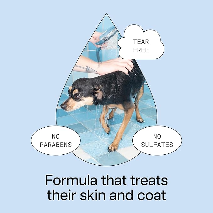 DedCool Pet Shampoo (01 Taunt, 16.9 oz) Tear-Free, for Sensitive Skin, Hypoallergenic, Dry Skin & Itch Relief, Deodorizing Shampoo & Conditioner for Dogs & Cats, Vegan, Clean, Non-Toxic