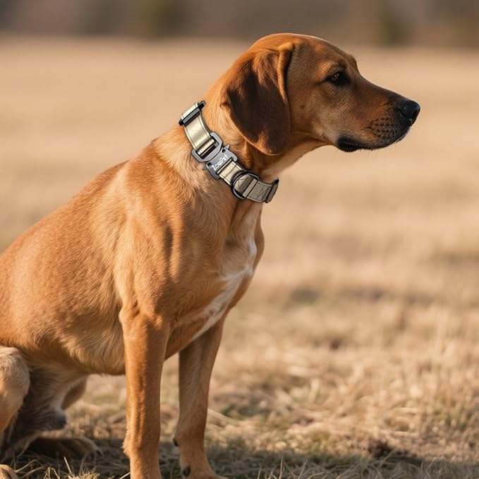 Airtag Dog Collar - Leather Dog Collar with Airtag Holder| IP68 Waterproof AirTag Holder with Metal Buckle, Comfortable GPS Dog Collars Tracker for Medium Large Dogs (Champagne Gold, M)