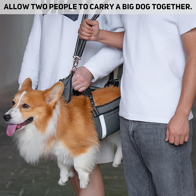 COODEO Mobility Dog Lift Harness, Emergency Carry Sling, Pet Rear Leg Support Rehabilitation Lifts Vest, Dog Carrier for Senior Dogs Joint Injuries, Arthritis (Military Green, M)