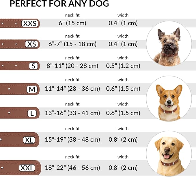 CollarDirect Rolled Leather Dog Collar, Soft Padded Round Puppy Collar, Handmade Genuine Leather Collar Dog Small Large Cat Collars 13 Colors (15-19 Inch, Cinnamon Smooth)