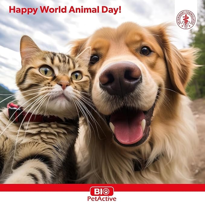 Bio Pet Active Kitten Milk Replacer - Easy-to-Digest Milk Powder with Vitamins, Minerals and Taurine for Kittens and Mothers, 7.05 oz