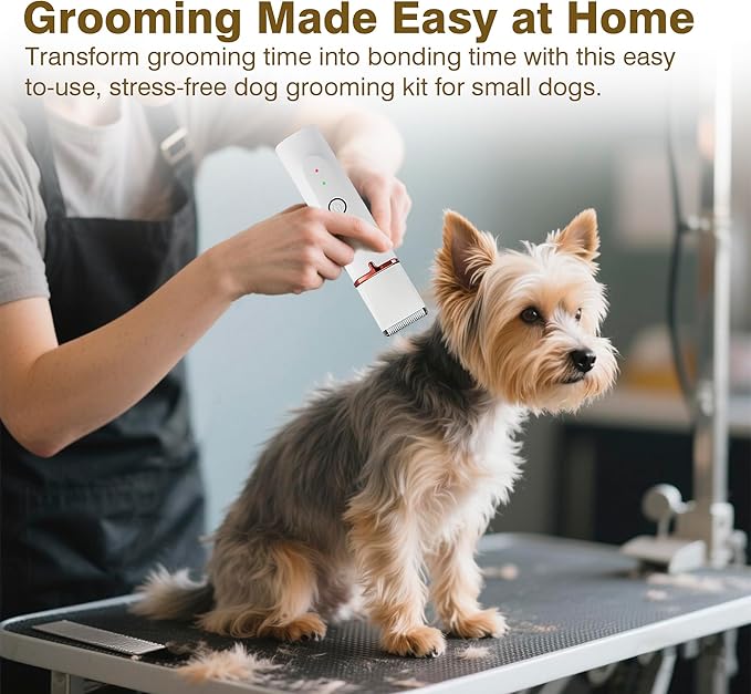 2025 New Petium 4-in-1 Dog Grooming Clippers Kit-Quiet Dog Nail Grinder & Paw Trimmer,Low Noise Cordless Pet Shaver for Small Dogs & Cats,USB-Rechargeable, 6 Guide Combs
