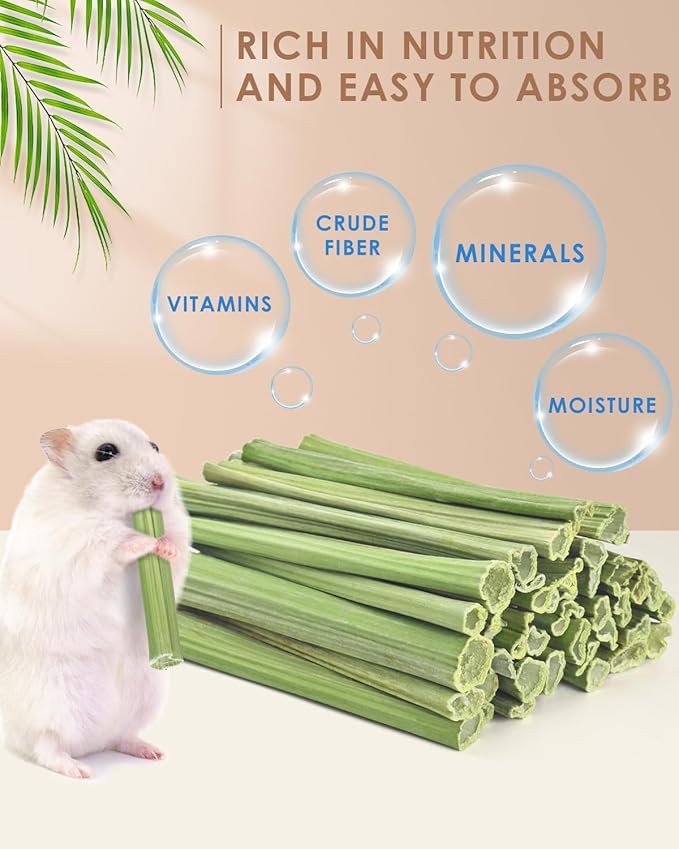 Bissap 50PCS Rabbit Chew Sticks, Natural Papaya Stems Bunny Chews Treats for Rabbits Hamsters Chinchillas Guinea Pigs Small Animals Organic Molar Chewing Snack