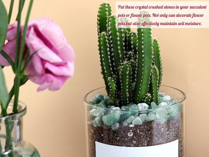 1lb Green Aventurine Aquarium Gravel Rocks Natural Tumbled Healing Crystal Chips Bulk Gemstones Crushed Stones for Fountain Vase Filler Planters Decorative Fish Tank Potted Reiki Energy Balancing