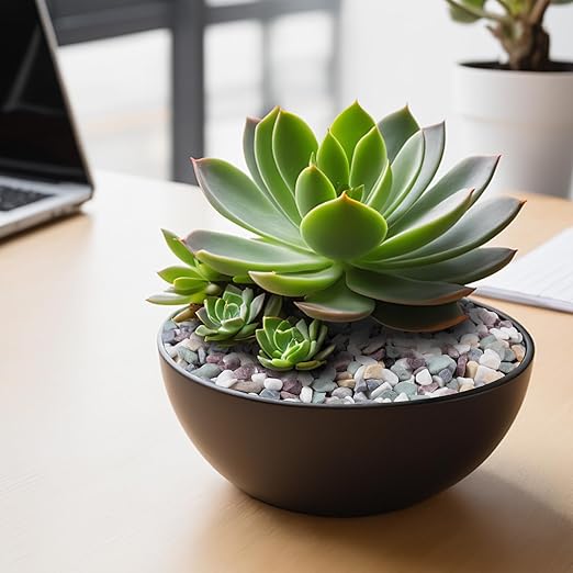 2.5 lbs Natural Pea Gravel Pebbles for Aquarium, Fish Tank, 3/8 inch Decorative Pebbles for Indoor Plants, Succulent, Bamboo, Vase, Drainage Rocks for Potted Plants, Top Dressing, Mixed Color